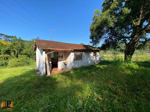 Imagem 21 de 30 de Chácara À Venda 7.500m2 Terreno Contendo Agua, Energia Elétrica, Casa Localizada Na Estrada Dos Borges Bairro Barrinha - São Lourenço Da Serra/sp - Ch07793 - 70644167