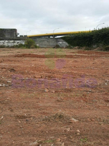 Imagem 2 de 3 de Terreno, Ipiranga, São Paulo - Te09029 - 69583204