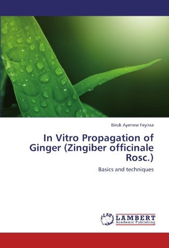 In Vitro Propagation Of Ginger (zingiber Officinale Rosc) Ba