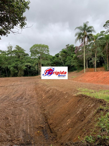 Imagem 5 de 15 de Excelente Terreno De 24.200 Metros, Prox. Do Km 26 Da Raposo Tavares, Cotia - Te87