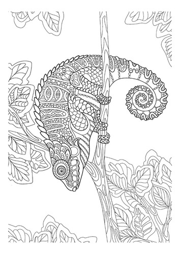 Exotic Jungle | Libro Anillado Colorear Pintar Fibra | Thoc