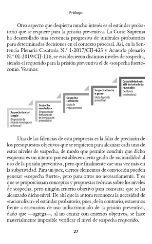 Prisión Preventiva Un Enfoque Dogmático Jurisprudencial 2024
