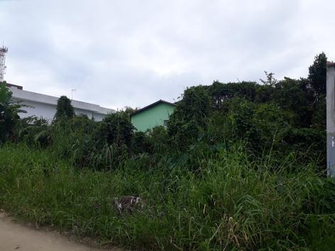 Imagem 2 de 2 de Terreno Em Indaia Bertioga - Ven122