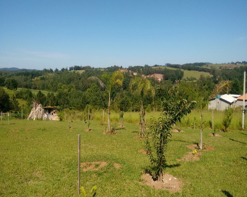Chácara 1.320 M² - Mato Fino - Gravataí - Rs - 1351 - 32419872
