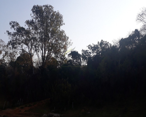 Imagem 18 de 22 de Chácara Na Represa À Venda Em Bragança Paulista Sp - Ch00042 - 68498907
