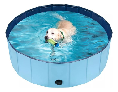 Piscina De Mascotas Xxl 160cm X 30cm Ducha De Perros Grandes