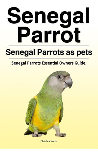 Loro Senegal. Loros Senegal Como Mascotas. Guía Esencial Del