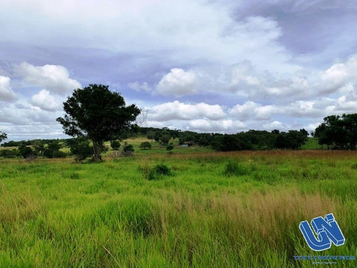 Imagem 10 de 12 de Fazenda Com 83 Tarefas Em Catu - Bahia - Afd069 - 70759118