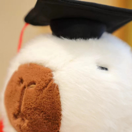 Muñeco Capibara Graduación 25 Cm, Juguete Peluche P Color Marrón