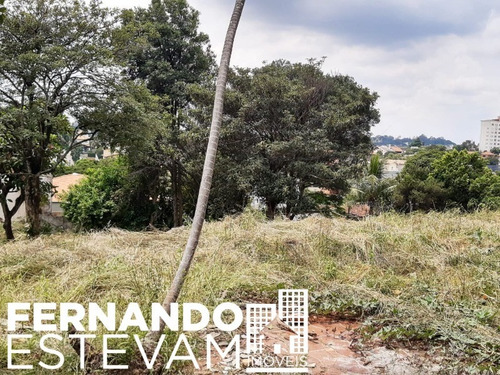Imagem 2 de 16 de Terreno Vila Inah - Te00004 - 69204789