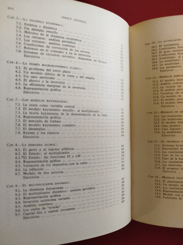 Teoría Macroeconómica - Allen (Usado)
