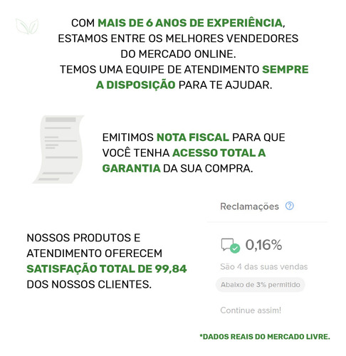 Cha De Goiabeira Sache 8 Unidade Alta Qualidade Premium