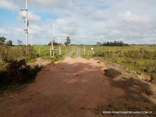 Venta Campo Aiguá