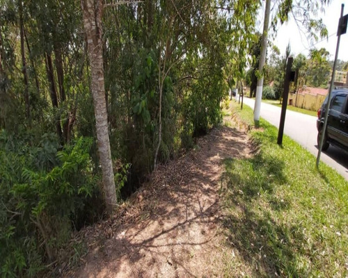 Imagem 4 de 12 de Ester Imóveis Negócios Imobiliários Creci 180319-f - Lotjaos17 - 34702586
