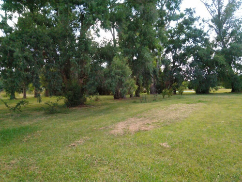 Chacra De Monte Claro. 15 Lotes De 1ha, Barrio Abierto, Zona Rural
