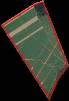 Fazenda Para Venda Em Santa Vitoria-mg, Com 159,40 Alqueires Paulista, 385,74 Hectares Com 119 Alqueires Paulista Em Cana - Fa00130 - 69331139