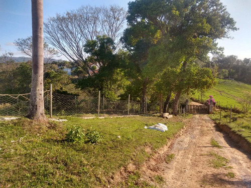 Imagem 19 de 30 de Chácara 42 Mil M2, Boa De Água Com Corrego, Casa Sede Com 5 Dormitórios, Toda Avarandada, Casa Caseiro, Piscina, Curral, Pasto, Pomar Em Formação - Ch00164 - 70147080