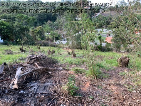 Imagem 4 de 6 de Terreno - Te00119 - 34265917