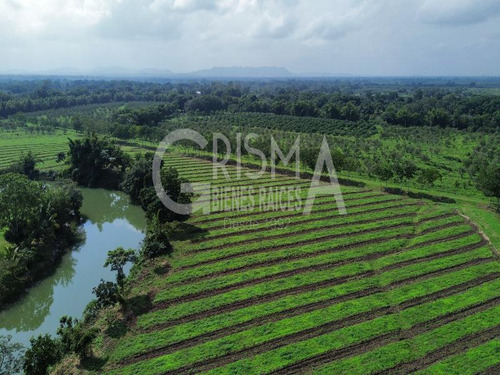 Increíbles Terrenos En Venta Frente Al Estero En Juana Moza, Tuxpan Ver.