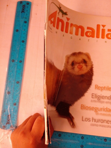 Revista Animalia No 1 Febrero 2009 (Usado)