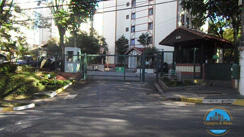 Imagem 1 de 11 de Apartamento Padrão Para Alugar Em São Paulo/sp - 70