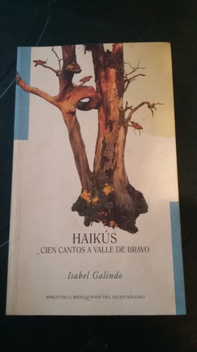 Haikús Cien Cantos A Valle De Bravo. Isabel Galindo