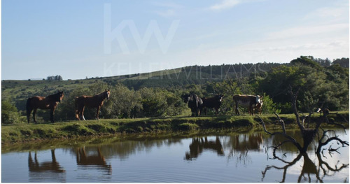 Se Vende Chacra Maldonado Pueblo Edén 11 Has Usd 140000