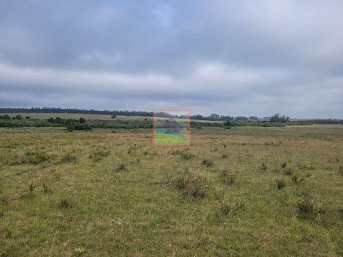 Imagen 9 de 30 de Campo 109 Hectáreas Garzón/rocha