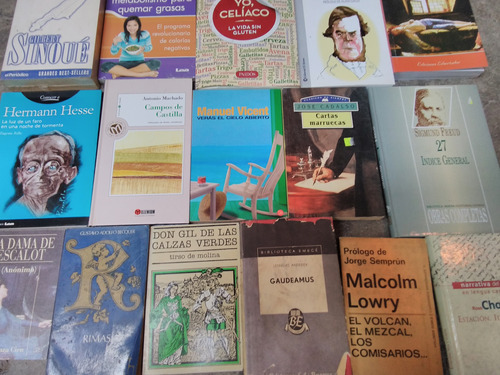 Lote De Libros Usados Surtidos   X 20 Ejemplares 