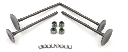 Válvulas Y Sellos Para Bajaj Pulsar Ns200 As200 Rs200
