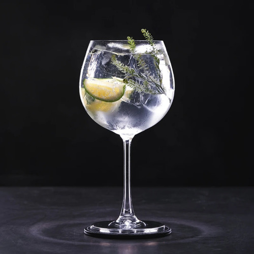 Gin Rider Caja X 6 X 750ml. Craft Gin Artesanal