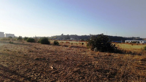 Sector Camino Concon Quillota Gulmuè