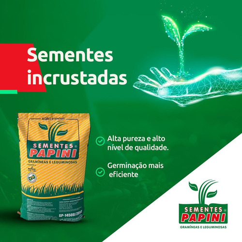 Sementes Premium Campo Grande Brs- Piatã - Incrustada