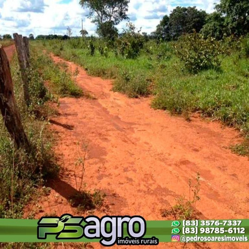 Imagem 9 de 30 de Fazenda À Venda, 430000 M² Por R$ 313.900.000,00 - Centro - Pium/to - Fa0047