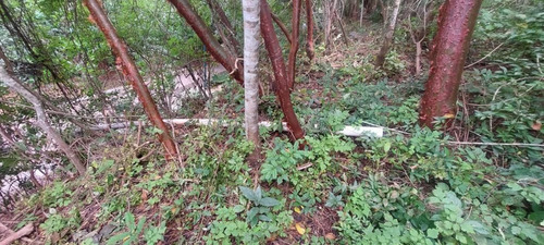 Terreno En Venta ,ixtapa Zihuatanejo, Guerrero