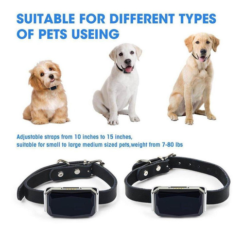 Mini Control De Actividad Impermeable Para Gatos Y Perros, D