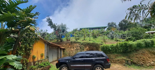 15000m2 Terreno Y 10000m2 Construcción En Vargas Un Lugar Magico En Galipan, Mls#25-4991