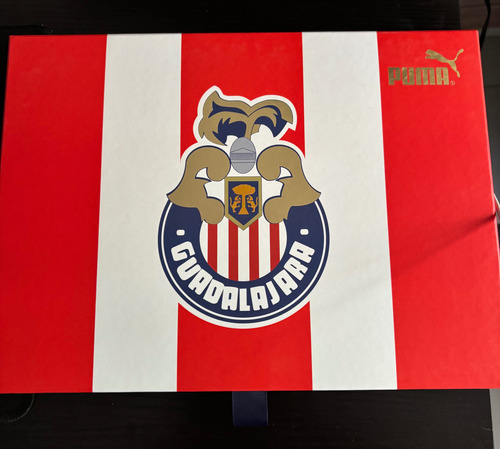 Jersey Chivas 115 Años Edición Especial (Usado)