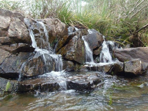 Campo En Venta En Lavalleja, 121 Hectáreas