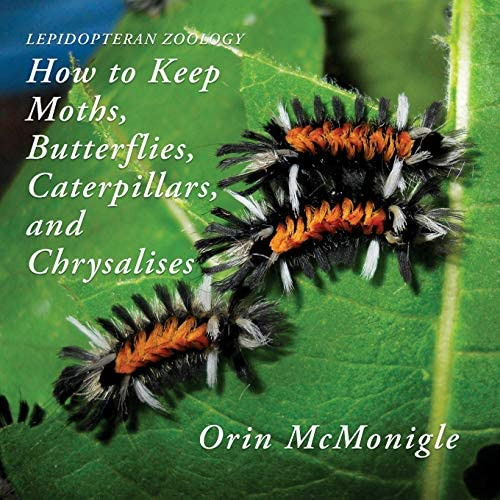 Lepidopteran Zoology: How To Keep Moths, Butterflies, Caterpillars, And Chrysalises, De Orin. Editorial Coachwhip Publications, Tapa Blanda En Inglés