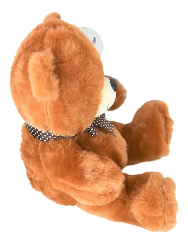 Osito Oso De Peluche Con Grabador De Voz Música Usb 16 Mb