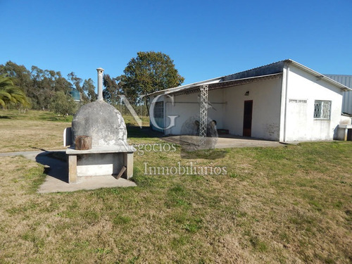 11 Ha. Y Media De Campo Con Olivos En Ruta 8