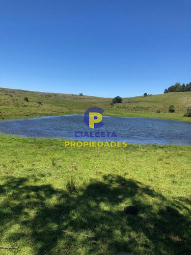 47 Hectáreas Con Casa De Piedra Y Hermoso Parque