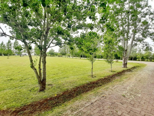 Barrio Privado Seguridad Últimos Terrenos Gigantes! 1925m, 1600m 814m Bajas Expensas Lote Cerrado Lomas De Petion (casi Cañuelas) 300m Autopista - Escritura Inmediata - A 35 Minutos Obelisco Country