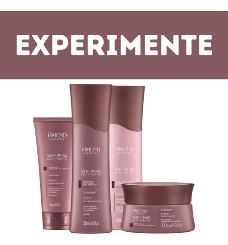 Kit Amend Expertise Shine Extreme Shamp Cond 250ml + Brinde