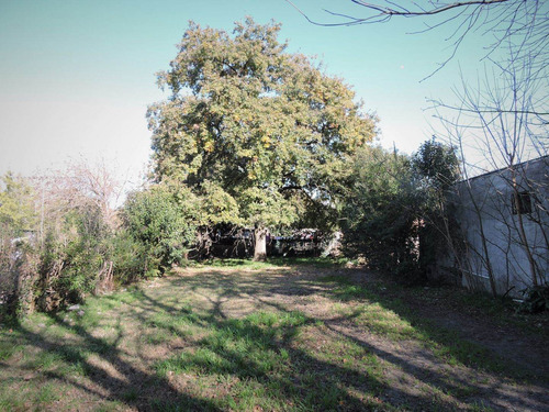 Imagen 2 de 7 de Lote En Veronica, 10x30, Punta Indio