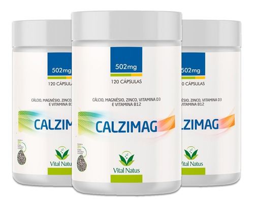 3 Calzimag Cálcio+magnésio+zinco+vitamina D3 B12 502mg 3x120