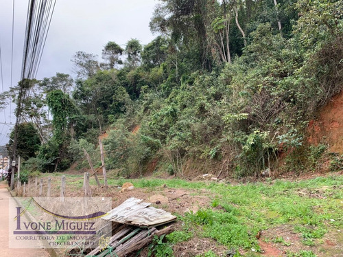 Imagem 1 de 5 de Terreno Em Centro - Miguel Pereira - 3319