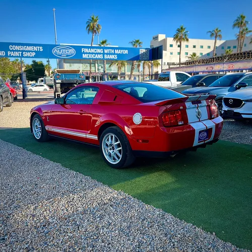 Ford Mustang Shelby Coupe Mt