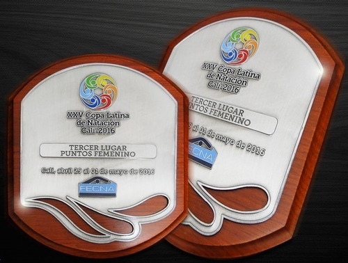 Placas De Reconocimientos En Acrílico Tamaño H2 (21x26)